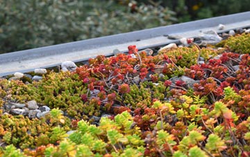 the cost of Grimsby green roof installation