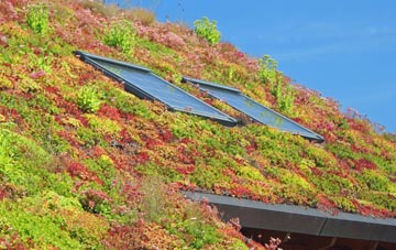 Grimsby living roof systems